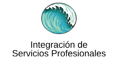integracion de servicios profesionales